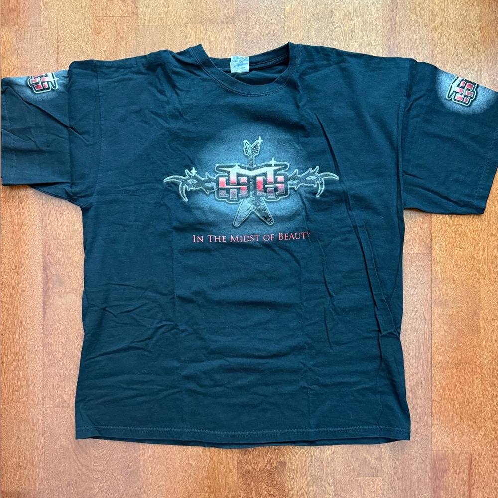 Vintage "In the Midst of Beauty" album cover t-shirt. 2009